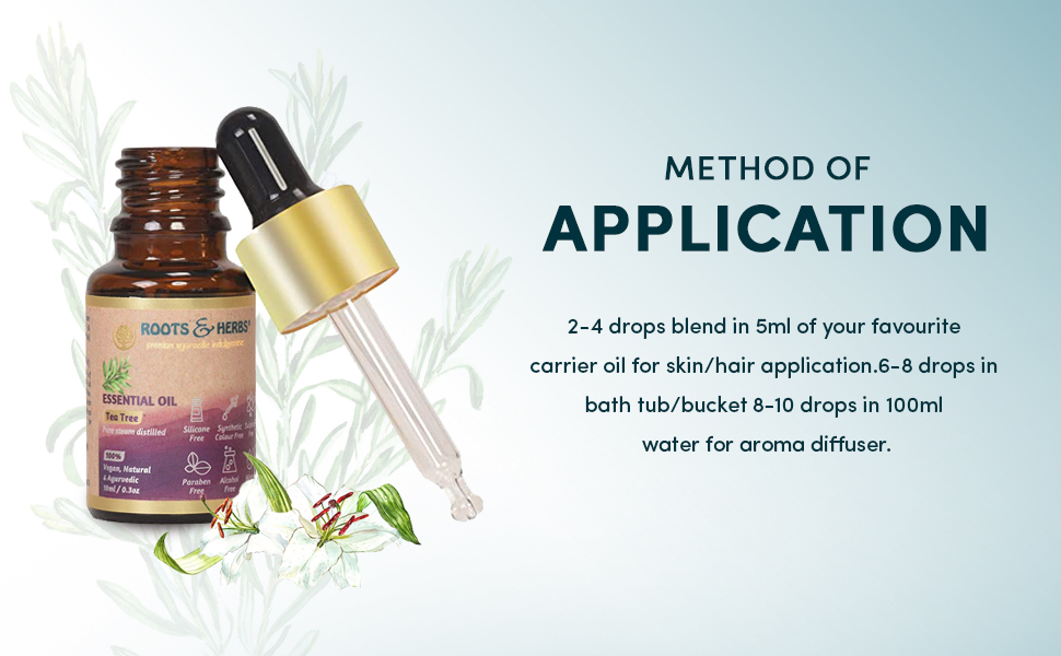 33bf3bcf-290b-47af-b637-c700c82a13e1.__CR0,0,970,600_PT0_SX970_V1___