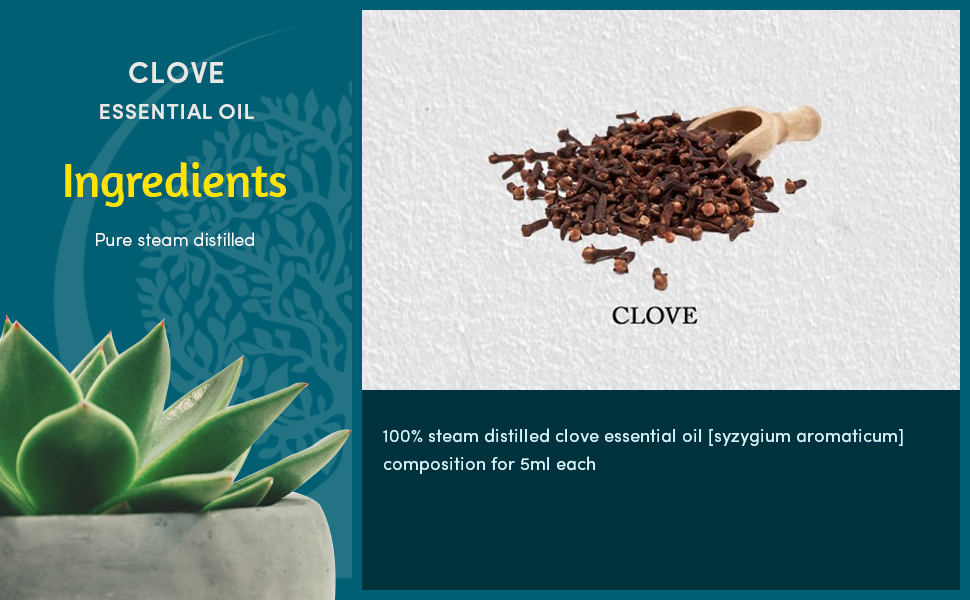 4a36a157-bffa-4a58-8629-764458c99ae6.__CR0,0,970,600_PT0_SX970_V1___