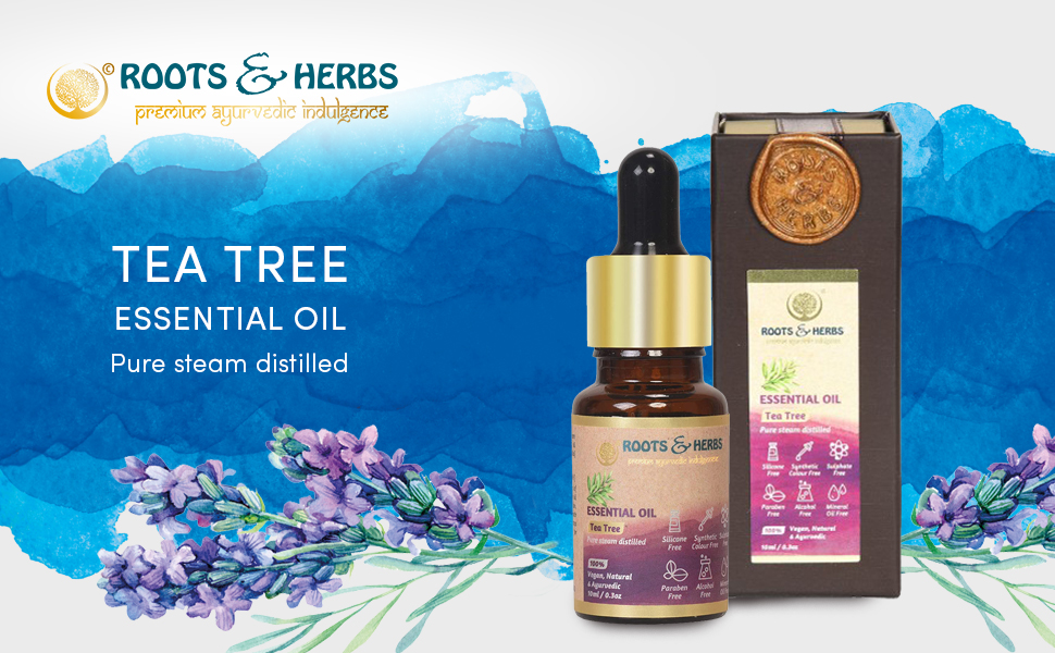 7244cd27-708e-4ebe-81ff-1febd72d5c8c.__CR0,0,970,600_PT0_SX970_V1___