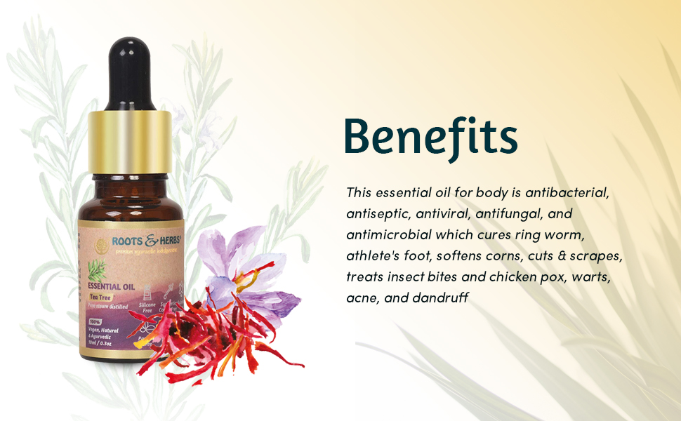 a5e95e12-3067-47d3-970e-75817306e20b.__CR0,0,970,600_PT0_SX970_V1___