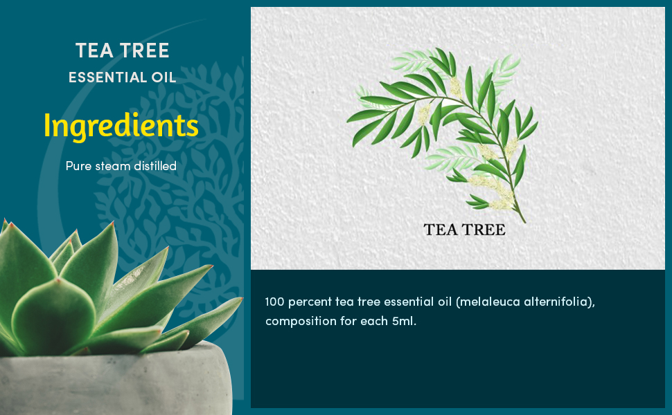 ddf6b994-d7df-478a-ad47-0743ad3b4610.__CR0,0,970,600_PT0_SX970_V1___